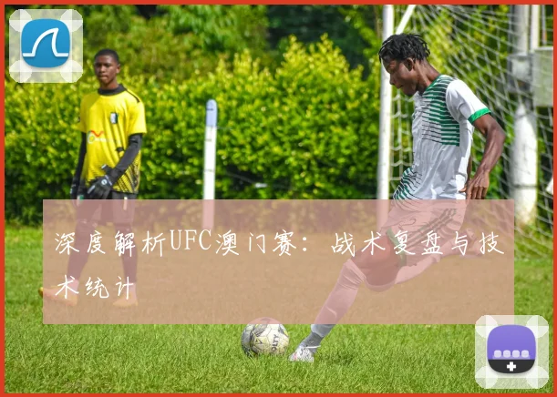 深度解析UFC澳门赛：战术复盘与技术统计